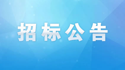 金投?青云府施工總承包（HBSZ-202410FJ-012004001）招標(biāo)公告